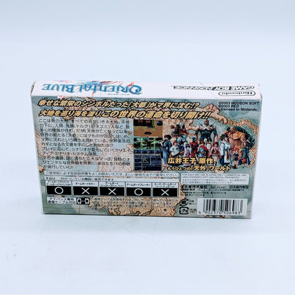 Nintendo Game Soft GBA Game Boy Advance Oriental Blue Blue Tengai